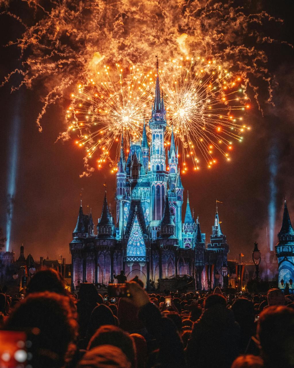 Planning a 2-week Disney Vacation with your Reselling&nbsp;Income.